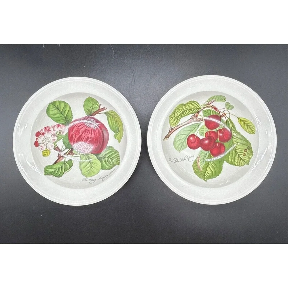 2 Portmeirion Soup Pasta Bowl 6.75 Fruit Cherry Apple Design Susan William Ellis